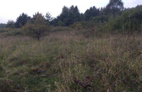 DRP-GS-124 | Działka Sprzedaż